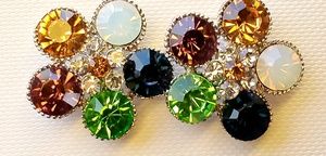 Multicolor Stone Earrings